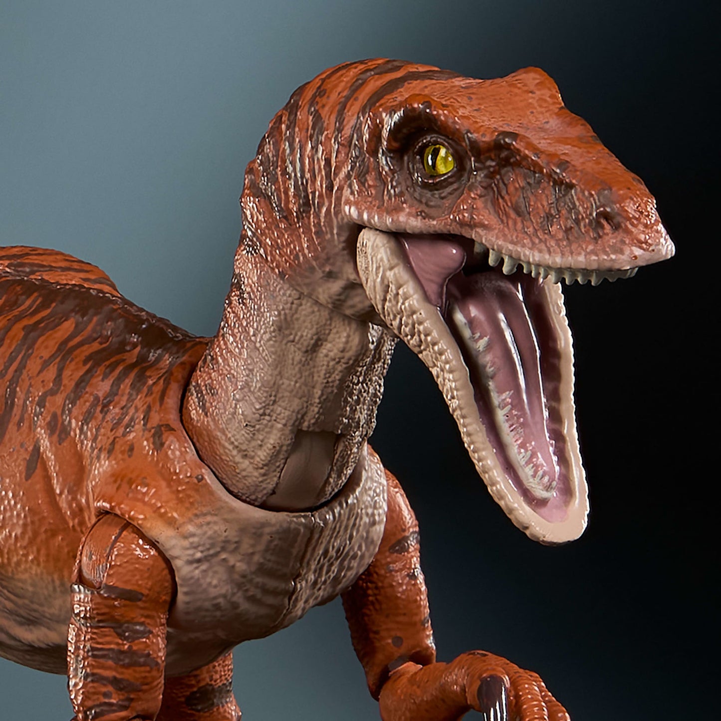 Jurassic World Hammond Collection Figura de Acción Velociraptor