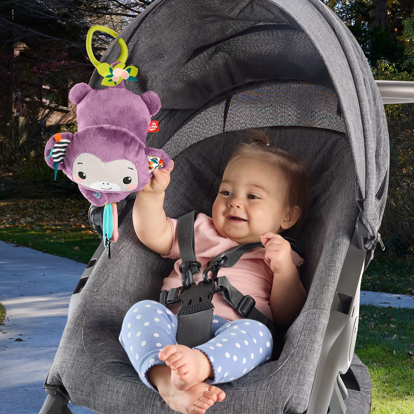 Fisher-Price Baby Brinquedo para Bebês Macaquinho Musical Companheiro